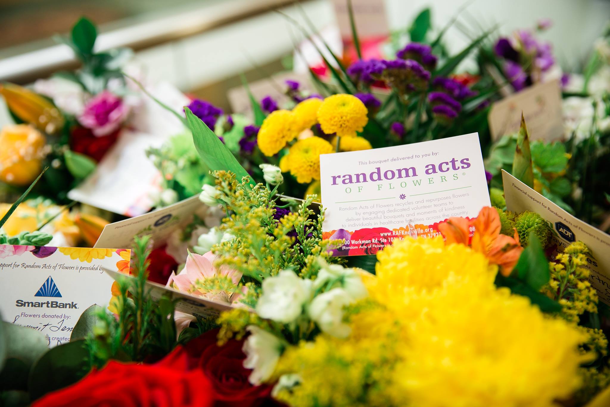 Flower arrangements with Random Acts of Flowers delivery cards