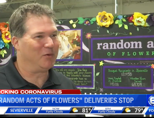 Tracking Coronavirus: Random Acts of Flowers taking time off to move (WATE, 3.27.20)